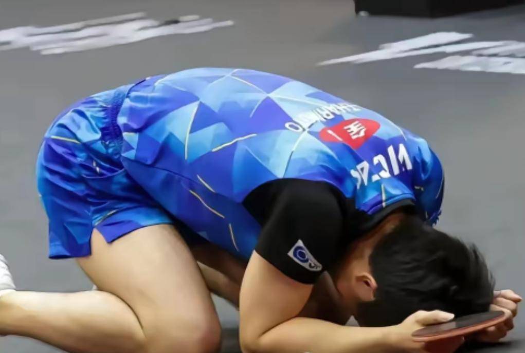 关于德国乒乓球队绝地反击日本乒乓球队，水谷隼统治全场的信息