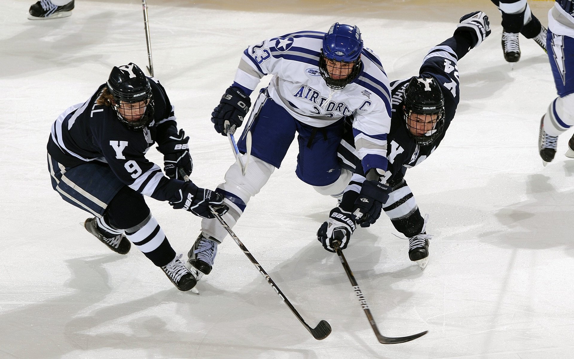 贝林厄姆的独舞，当塞维利亚的弗拉门戈遇上多特蒙德的钢铁意志